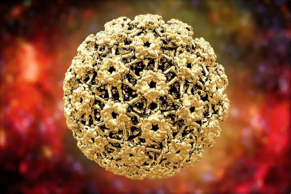 Virus del papiloma humano