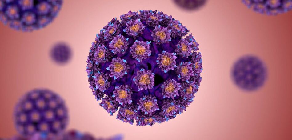 ¿Cómo se ve el virus del papiloma humano 
